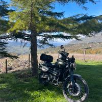 Scrambler triumph 1200 CX