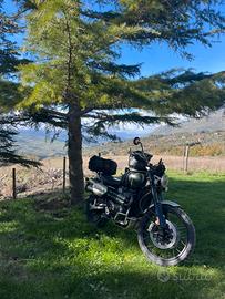 Scrambler triumph 1200 CX