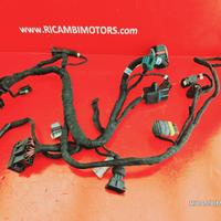 IMPIANTO ELETTRICO DUCATI MONSTER 696