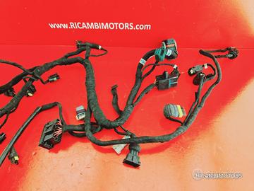 IMPIANTO ELETTRICO DUCATI MONSTER 696