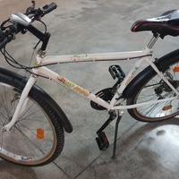 Bicicletta Mountain bike vintage