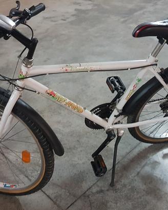 Bicicletta Mountain bike vintage