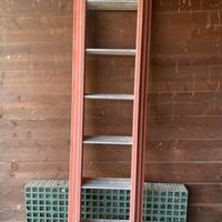 Scala allungabile professionale