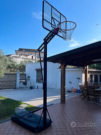 Canestro