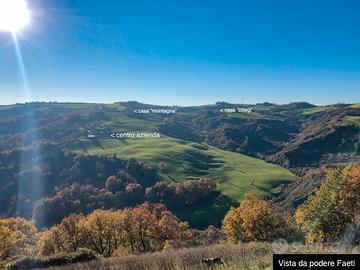 Azienda Agricola colline Cesena - 150ha ca. +++