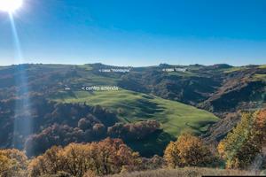 Azienda Agricola colline Cesena - 150ha ca. +++
