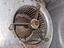 Immagine 3