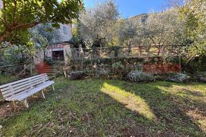 Terreno Agricolo Sgurgola [Cod. rif 3266439VCG]