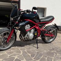 Kawasaki ER-6N custom depotenziata