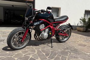 Kawasaki ER-6N custom depotenziata