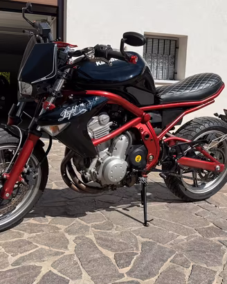 Kawasaki ER-6N custom depotenziata