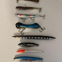 ESCHE ARTIFICIALI PESCA SPINNING