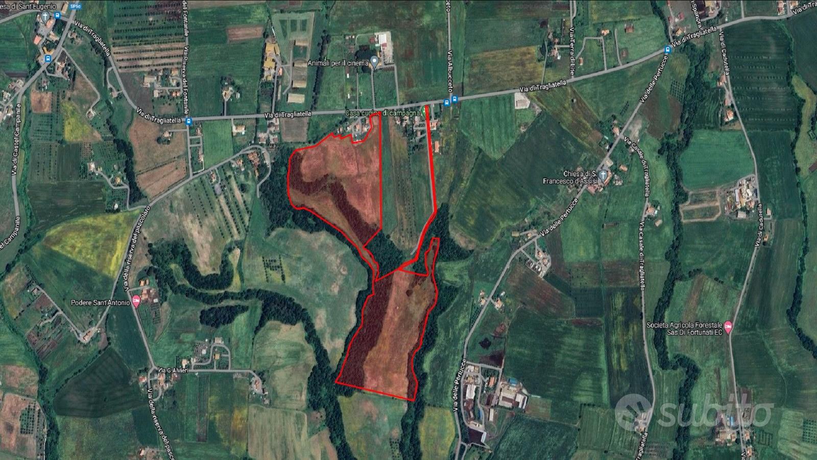Terreno agricolo di 22 ettari con pozzo - View 2