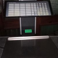 bilancia elettronica 