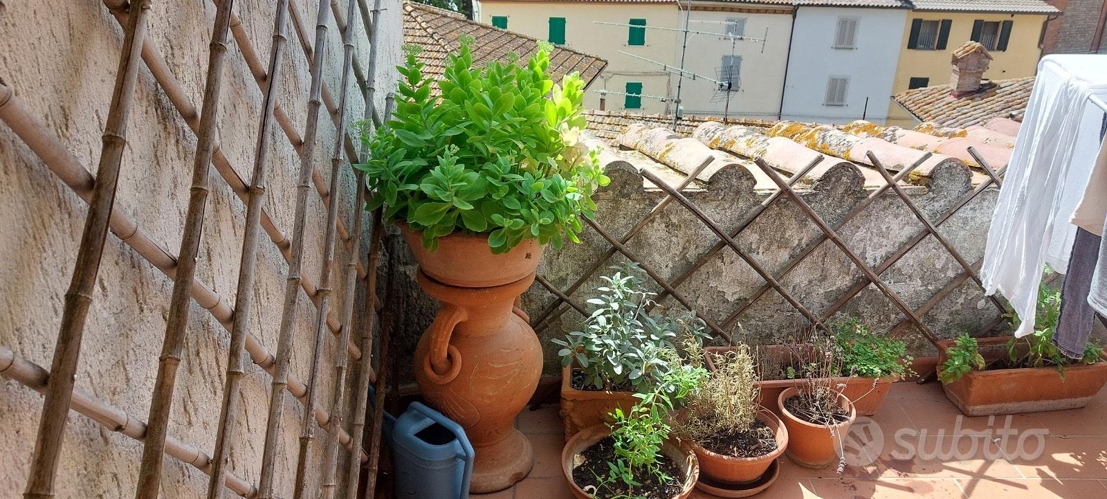 Apartment in Passignano sul Trasimeno, Perugia - Vista 4