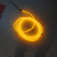 Luci e luminarie