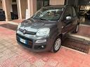 fiat-panda-1-2-perfetta-garantita-2017