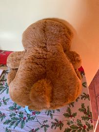 Peluche