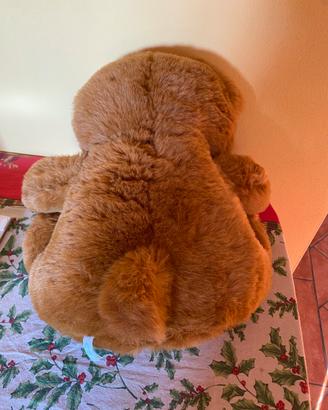 Peluche