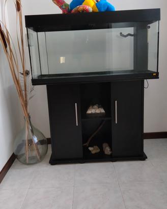 acquario