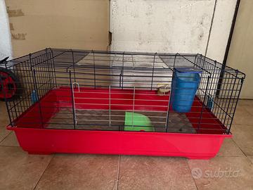 Gabbai x coniglio o altro