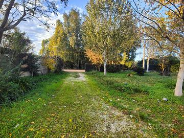 Terreno agricolo capannone rustico Sabaudia