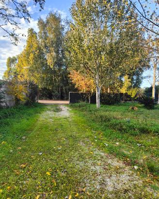 Terreno agricolo capannone rustico Sabaudia