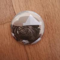 Spilla pin Piccione con cappello di carta 32mm