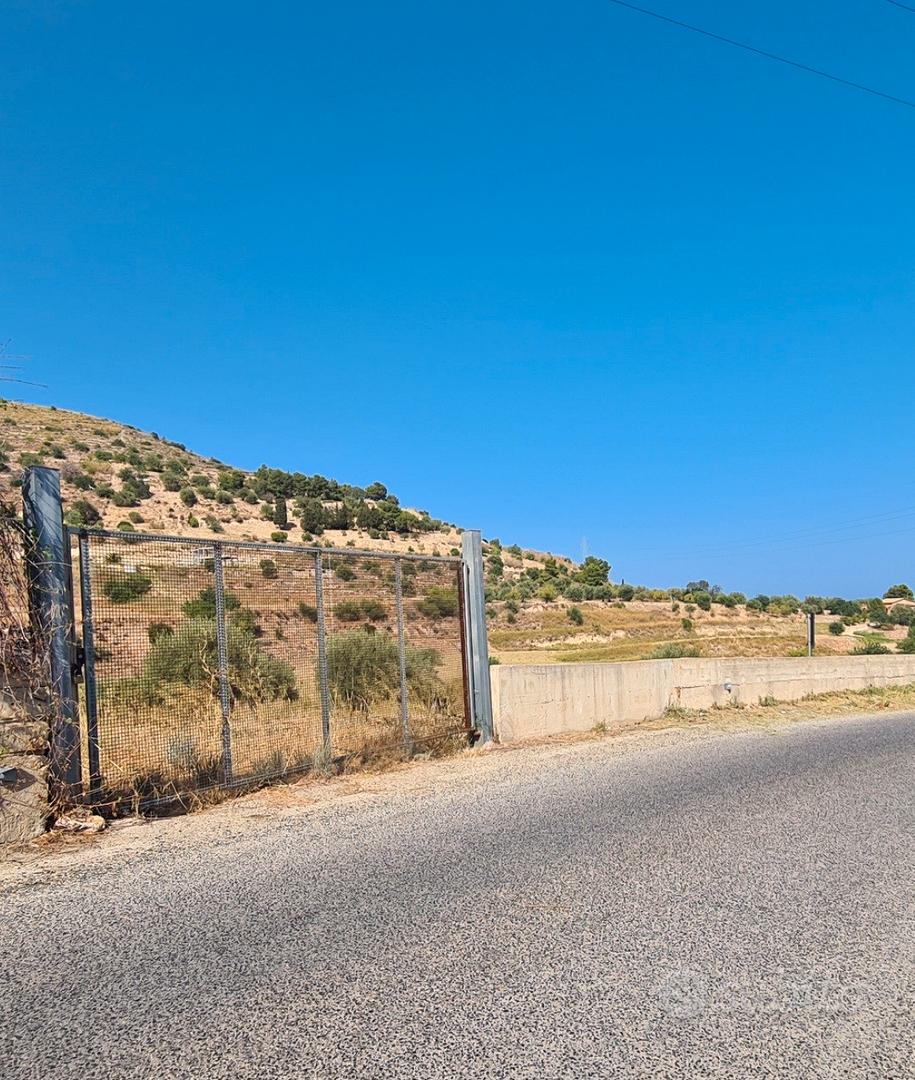 Terreno agricolo con uliveto a 1km da Avola - Vista 2