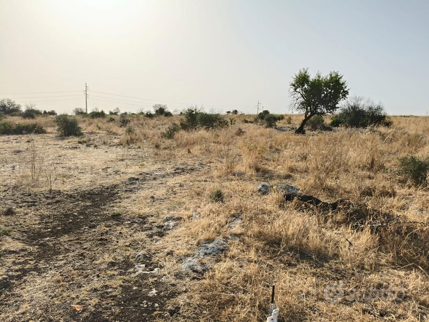 Terreno 1,7 ettari vicino al conforama di melilli - Vista 5