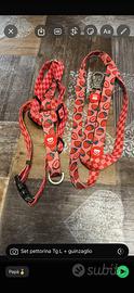 Set pettorina H + Guinzaglio doppia fantasia