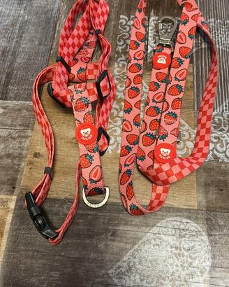 Set pettorina H + Guinzaglio doppia fantasia