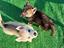 Immagine 4
