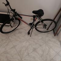 Bici nuova
