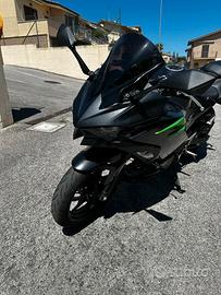 Kawasaki Ninja