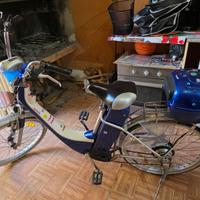 Bici elettrica con pedalata assistita