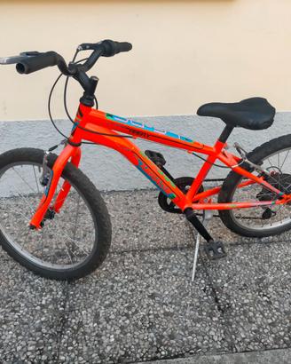 Biciclette bambino 6/7 anni