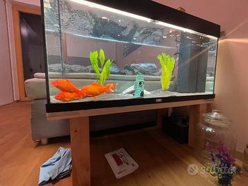 Acquario 125l