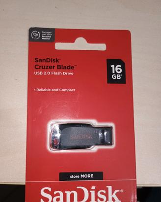 pen drive da 16 gd della kingston 