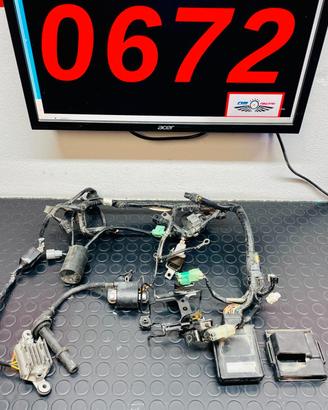 ELETTRONICA COMPLETA DALLO STATORE IN POI KAWASAKI