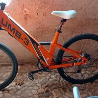 cross over bici elettrica 