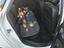 Immagine 23