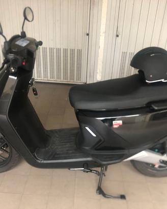 NIU 125