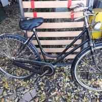 bicicletta Bianchi da donna con bacchette
