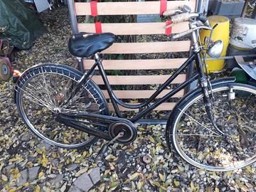 bicicletta Bianchi da donna con bacchette