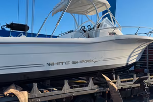 FISHERMAN WHITE SHARK 268