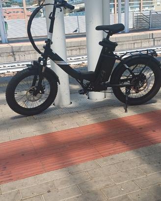 Bici elettrica