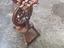 Immagine 3