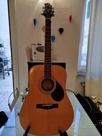 Chitarra acustica  + custodia