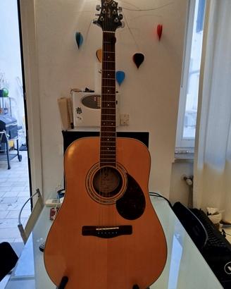 Chitarra acustica  + custodia